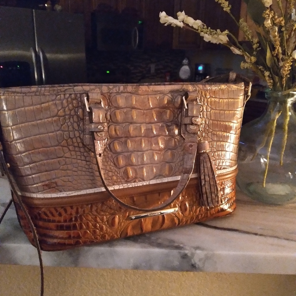 Brahmin Mini Asher
